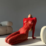 Chloé Bodystocking de Encaje Sensual Tejido Elástico Transparente para Contornear Cada Curva